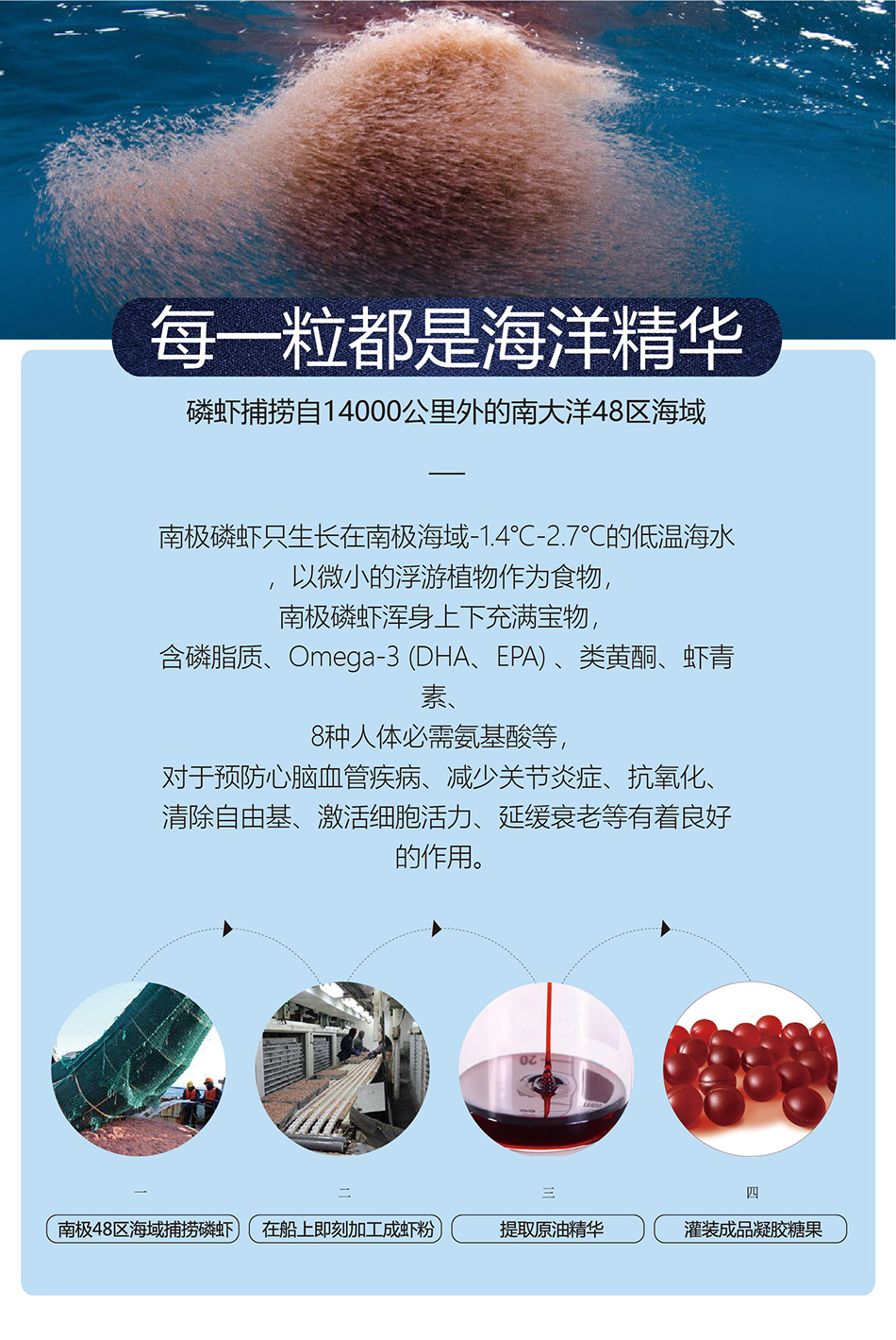 南极海宝鲜提南极磷虾油 60粒/瓶 2瓶/盒 新鲜活性南极磷虾油